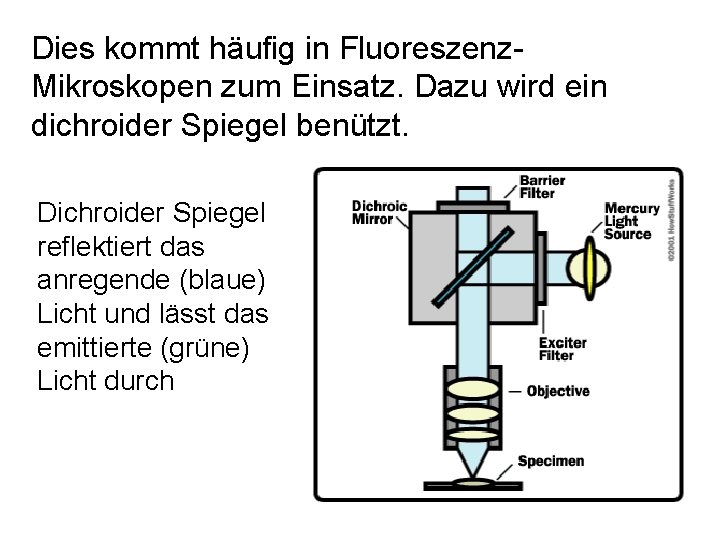 Dies kommt häufig in Fluoreszenz. Mikroskopen zum Einsatz. Dazu wird ein dichroider Spiegel benützt.