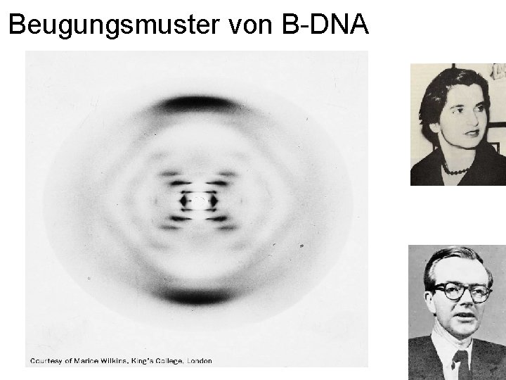 Beugungsmuster von B-DNA 