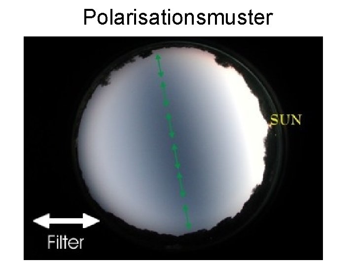 Polarisationsmuster 