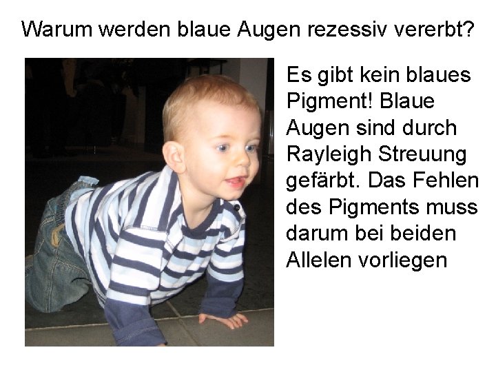 Warum werden blaue Augen rezessiv vererbt? Es gibt kein blaues Pigment! Blaue Augen sind
