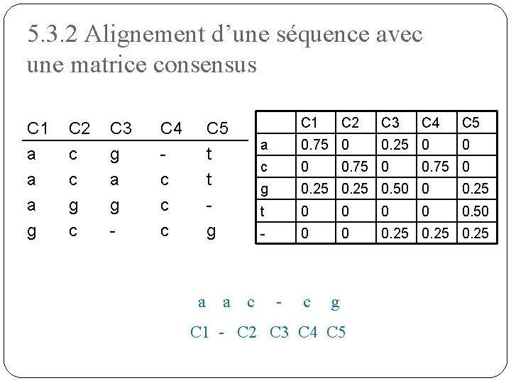 5. 3. 2 Alignement d’une séquence avec une matrice consensus C 1 a a