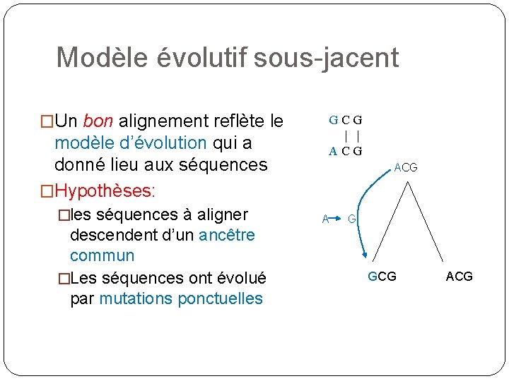 Modèle évolutif sous-jacent �Un bon alignement reflète le modèle d’évolution qui a donné lieu