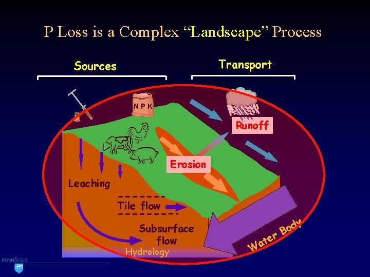 P Loss is a Complex “Landscape” Process Transport Sources NPK Runoff Erosion Leaching Tile