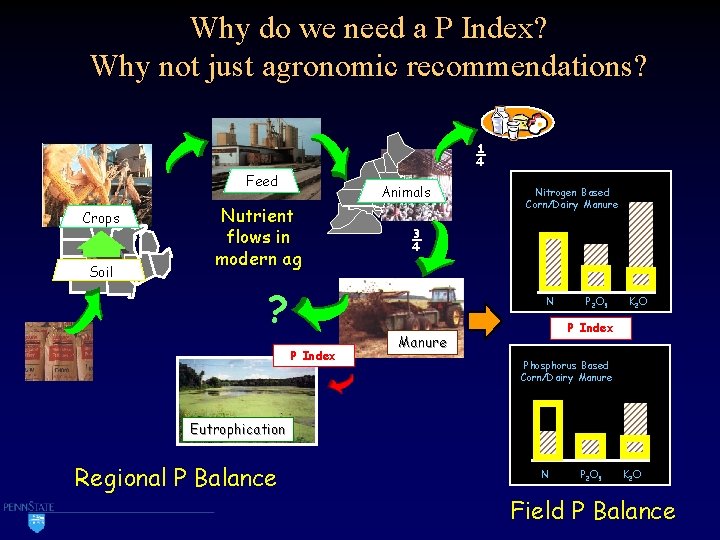 Why do we need a P Index? Why not just agronomic recommendations? ¼ Feed