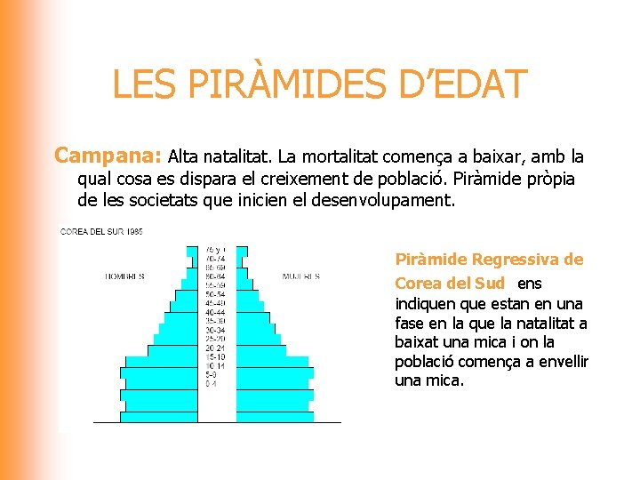 LES PIRÀMIDES D’EDAT Campana: Alta natalitat. La mortalitat comença a baixar, amb la qual