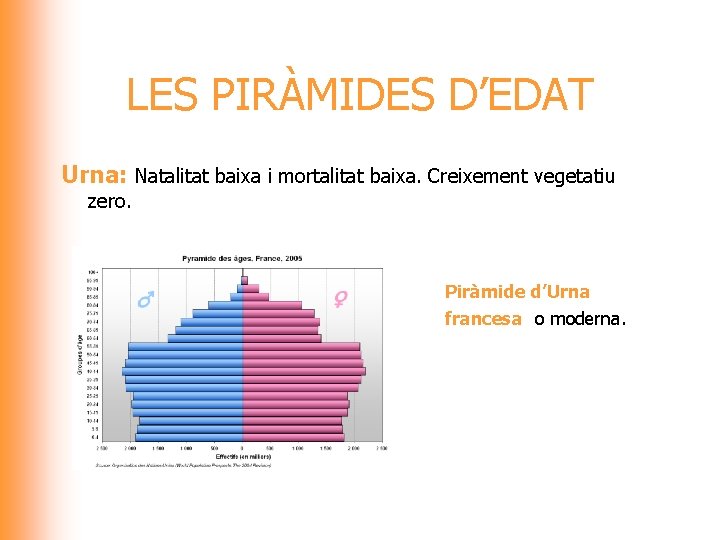 LES PIRÀMIDES D’EDAT Urna: Natalitat baixa i mortalitat baixa. Creixement vegetatiu zero. Piràmide d’Urna