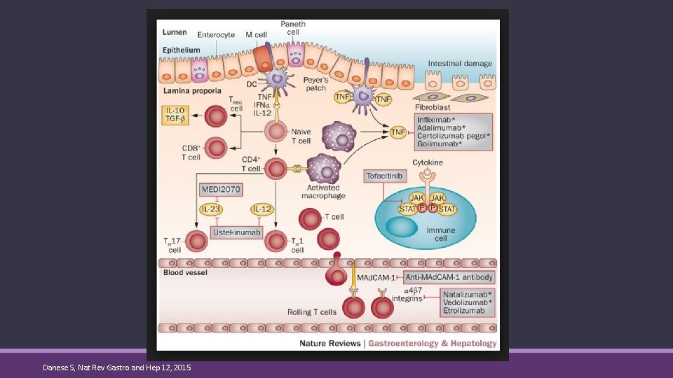Danese S, Nat Rev Gastro and Hep 12, 2015 