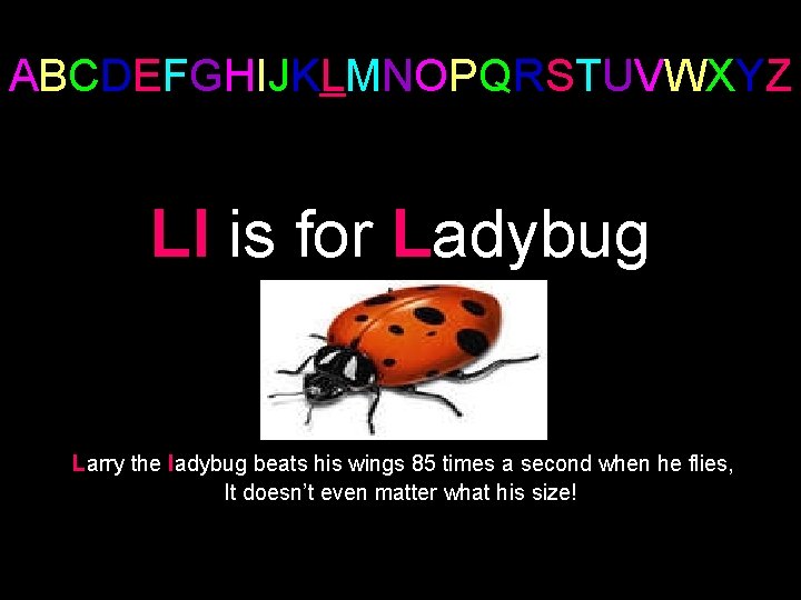 ABCDEFGHIJKLMNOPQRSTUVWXYZ Ll is for Ladybug Larry the ladybug beats his wings 85 times a