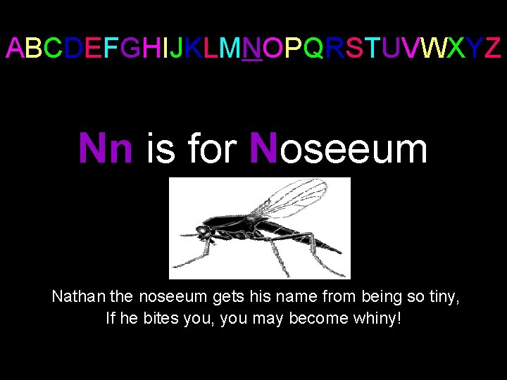 ABCDEFGHIJKLMNOPQRSTUVWXYZ Nn is for Noseeum Nathan the noseeum gets his name from being so