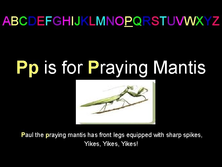 ABCDEFGHIJKLMNOPQRSTUVWXYZ Pp is for Praying Mantis Paul the praying mantis has front legs equipped