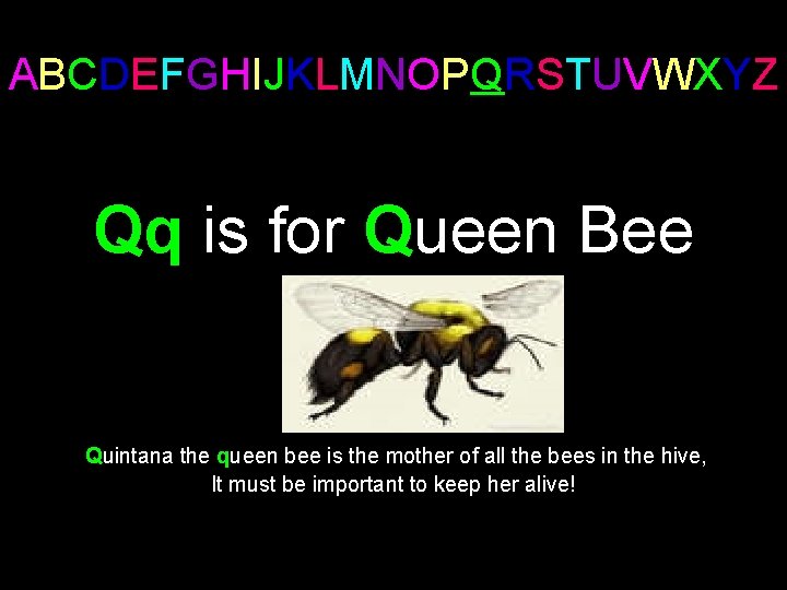 ABCDEFGHIJKLMNOPQRSTUVWXYZ Qq is for Queen Bee Quintana the queen bee is the mother of