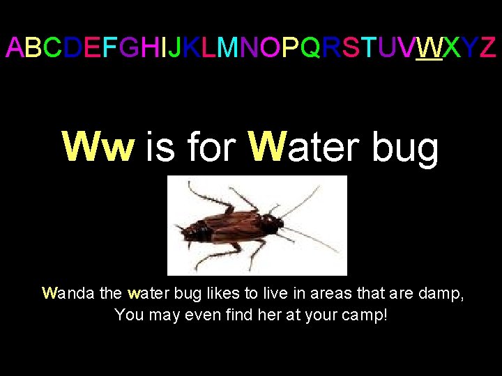 ABCDEFGHIJKLMNOPQRSTUVWXYZ Ww is for Water bug Wanda the water bug likes to live in