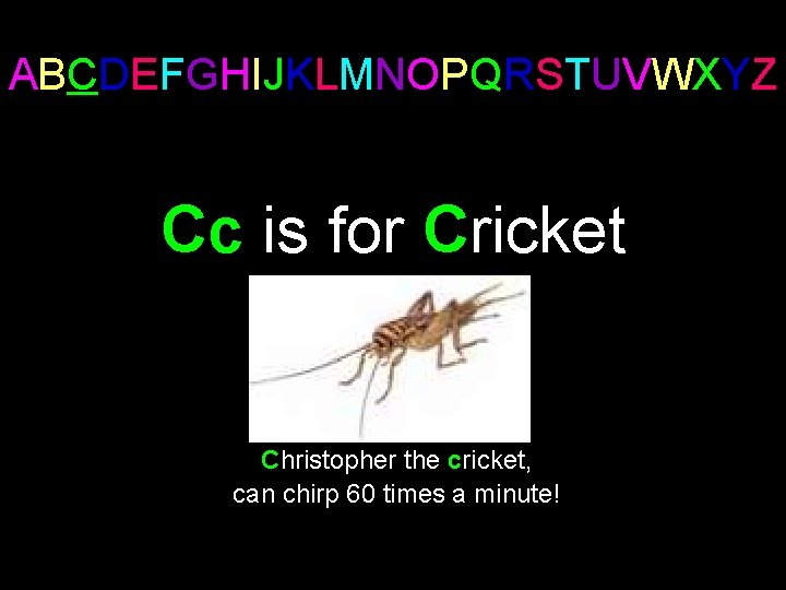 ABCDEFGHIJKLMNOPQRSTUVWXYZ Cc is for Cricket Christopher the cricket, can chirp 60 times a minute!