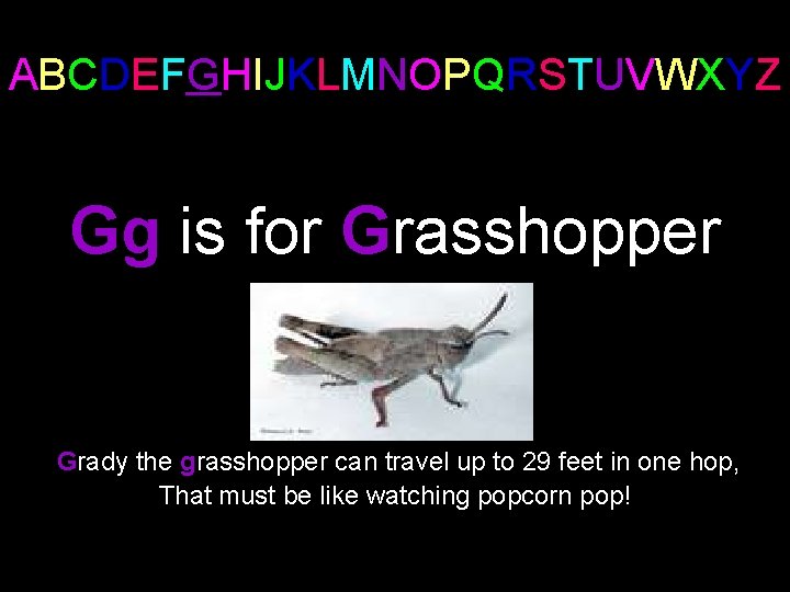 ABCDEFGHIJKLMNOPQRSTUVWXYZ Gg is for Grasshopper Grady the grasshopper can travel up to 29 feet