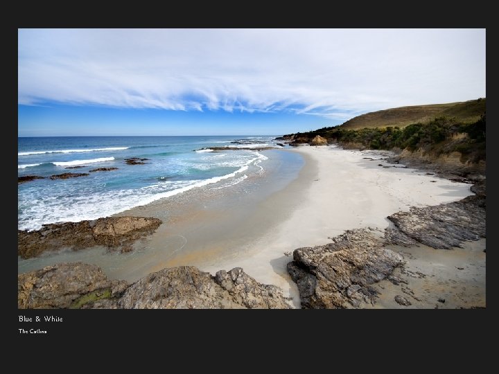 Blue & White The Catlins 