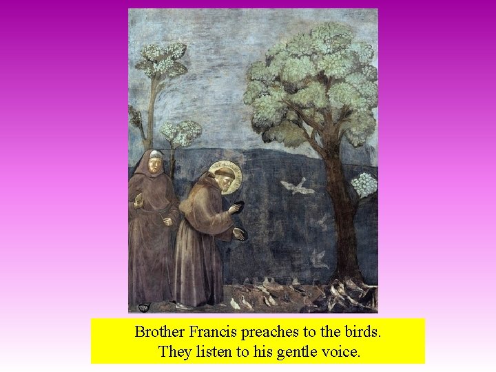 Brother Francis preaches to the birds. They listen to his gentle voice. 