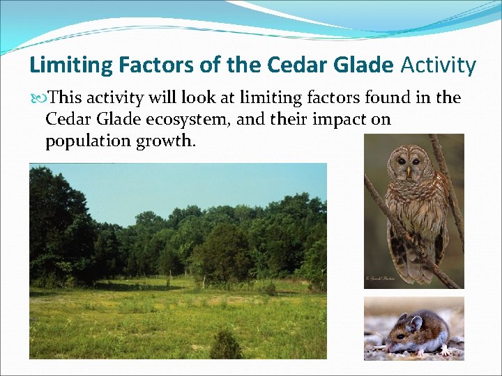 Limiting Factors of the Cedar Glade Activity This activity will look at limiting factors