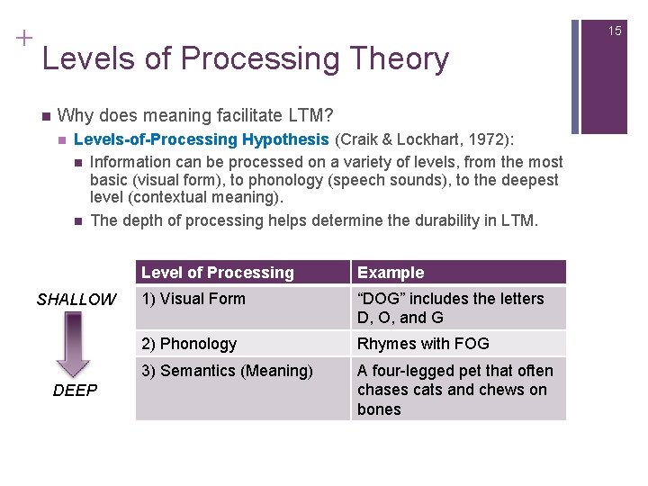 + 15 Levels of Processing Theory n Why does meaning facilitate LTM? n Levels-of-Processing