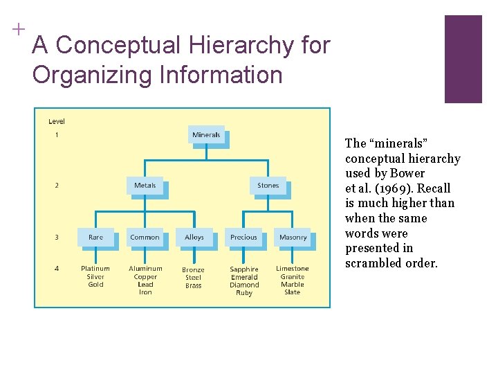 + A Conceptual Hierarchy for Organizing Information The “minerals” conceptual hierarchy used by Bower