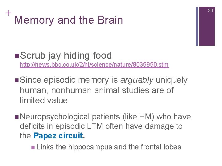 + 30 Memory and the Brain n. Scrub jay hiding food http: //news. bbc.