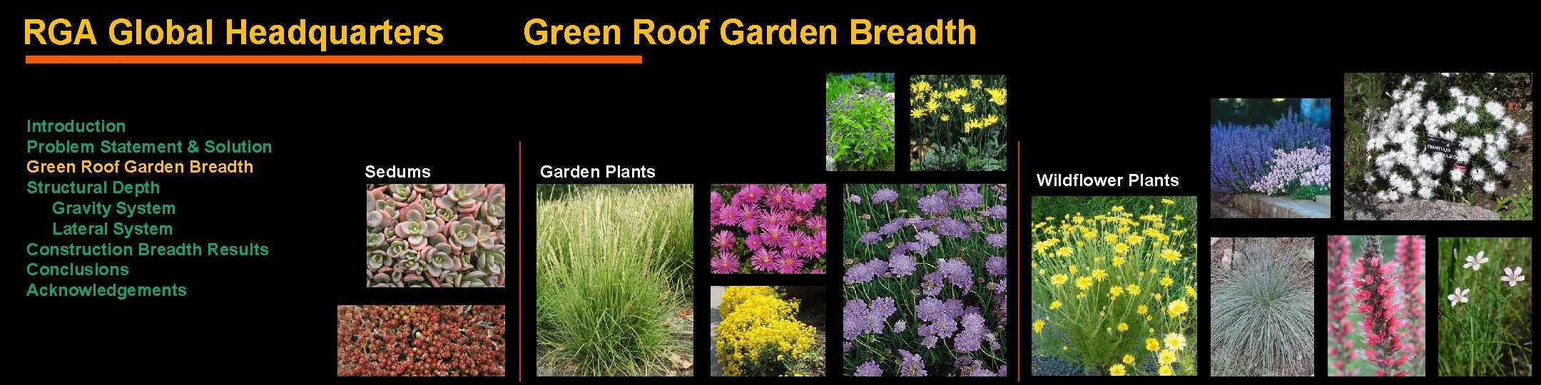 RGA Global Headquarters Introduction Problem Statement & Solution Green Roof Garden Breadth Structural Depth