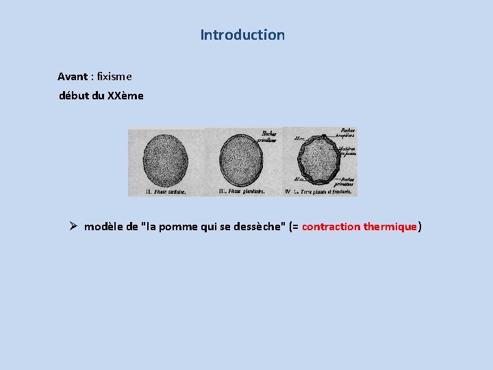 Introduction Avant : fixisme début du XXème modèle de "la pomme qui se dessèche"