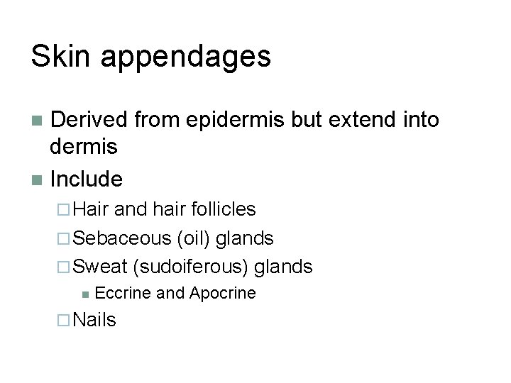 Skin appendages Derived from epidermis but extend into dermis n Include n ¨ Hair