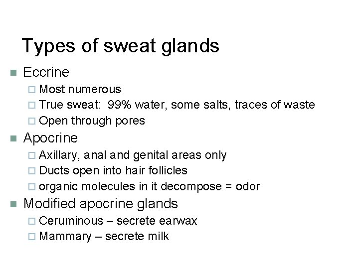 Types of sweat glands n Eccrine ¨ Most numerous ¨ True sweat: 99% water,