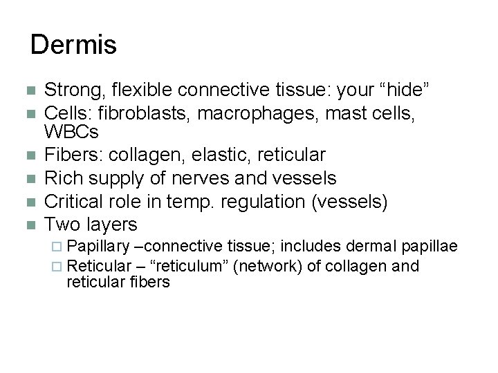 Dermis n n n Strong, flexible connective tissue: your “hide” Cells: fibroblasts, macrophages, mast
