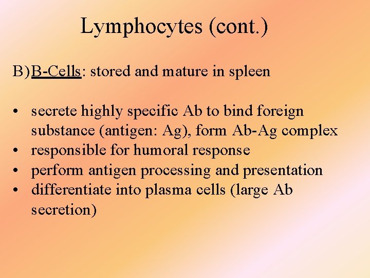 Lymphocytes (cont. ) B) B-Cells: stored and mature in spleen • secrete highly specific
