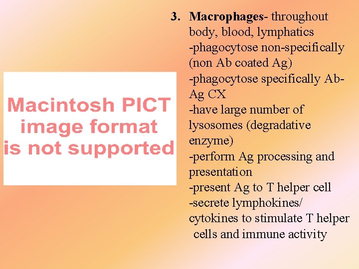 3. Macrophages- throughout body, blood, lymphatics -phagocytose non-specifically (non Ab coated Ag) -phagocytose specifically