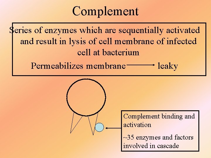 Complement Series of enzymes which are sequentially activated and result in lysis of cell