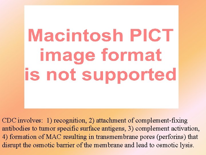 CDC involves: 1) recognition, 2) attachment of complement-fixing antibodies to tumor specific surface antigens,