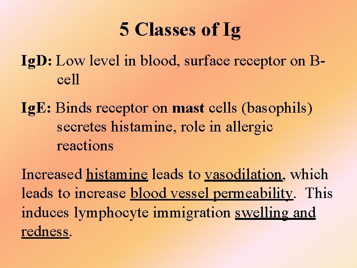 5 Classes of Ig Ig. D: Low level in blood, surface receptor on Bcell