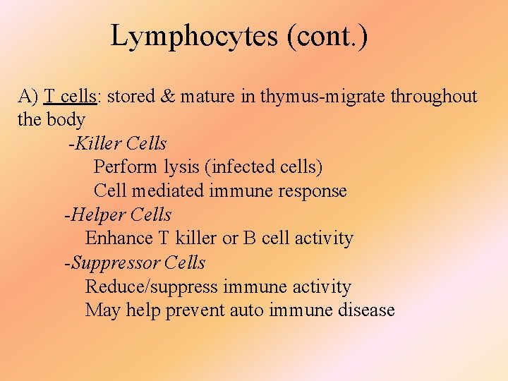 Lymphocytes (cont. ) A) T cells: stored & mature in thymus-migrate throughout the body