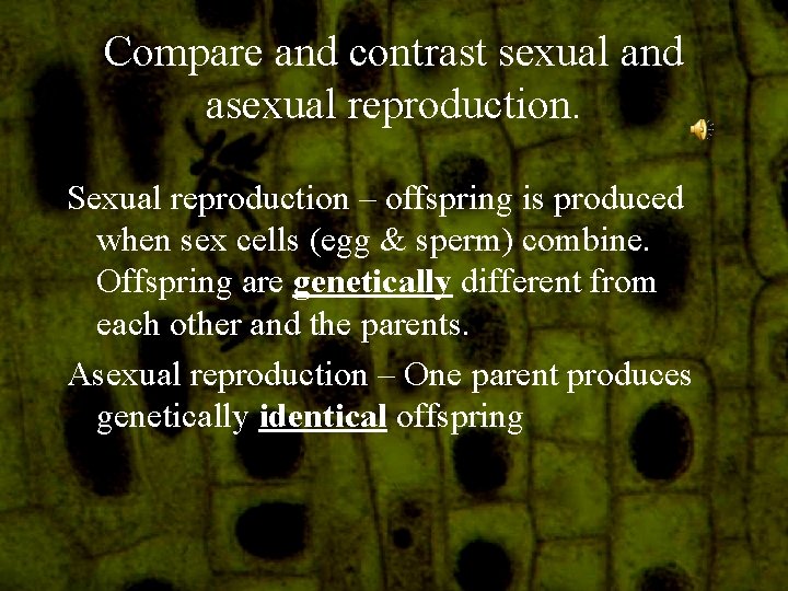 Compare and contrast sexual and asexual reproduction. Sexual reproduction – offspring is produced when