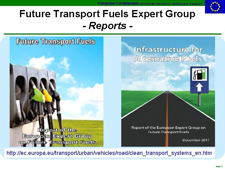 European Commission, Directorate General for Mobility and Transport Future Transport Fuels Expert Group -