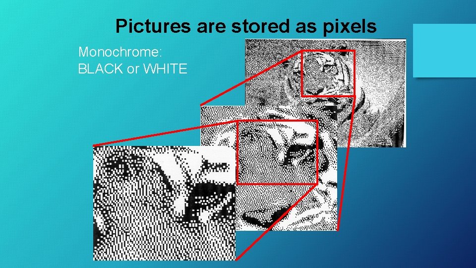Pictures are stored as pixels Monochrome: BLACK or WHITE 