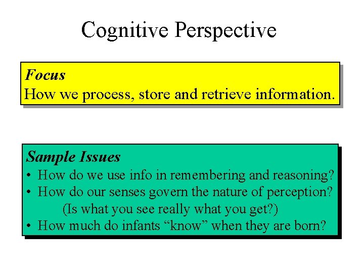 Cognitive Perspective Focus How we process, store and retrieve information. Sample Issues • How
