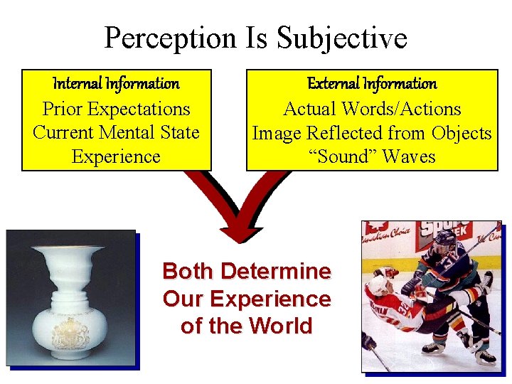 Perception Is Subjective Internal Information Prior Expectations Current Mental State Experience External Information Actual