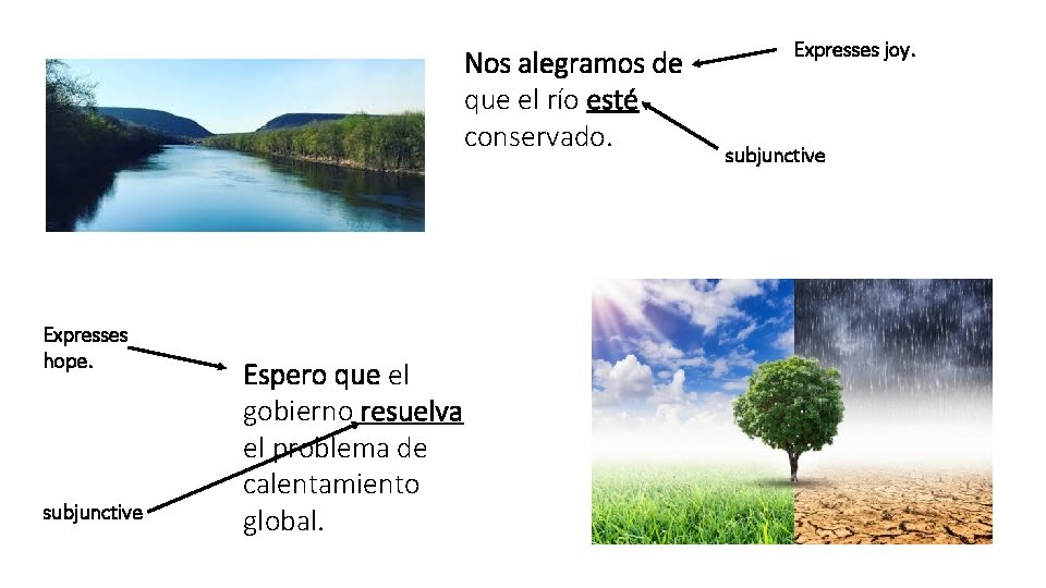 Nos alegramos de que el río esté conservado. Expresses hope. subjunctive Espero que el