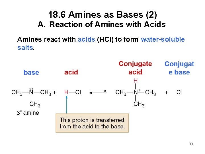 18. 6 Amines as Bases (2) A. Reaction of Amines with Acids Amines react