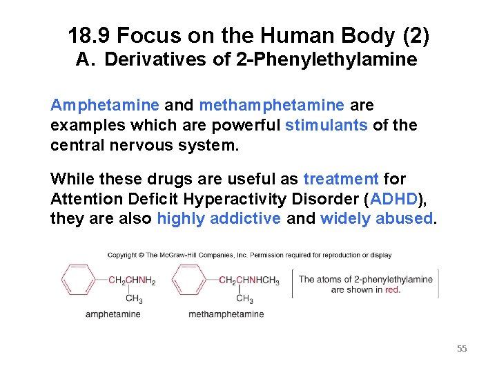 18. 9 Focus on the Human Body (2) A. Derivatives of 2 -Phenylethylamine Amphetamine