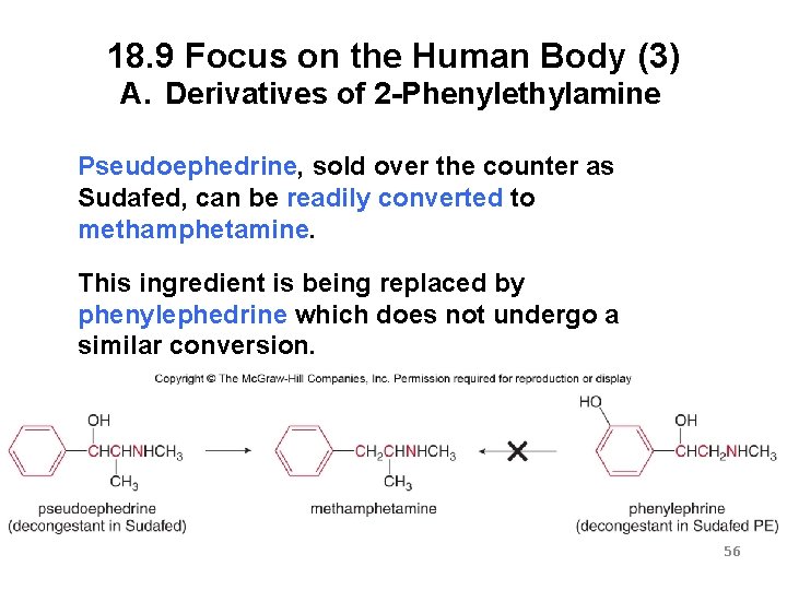 18. 9 Focus on the Human Body (3) A. Derivatives of 2 -Phenylethylamine Pseudoephedrine,