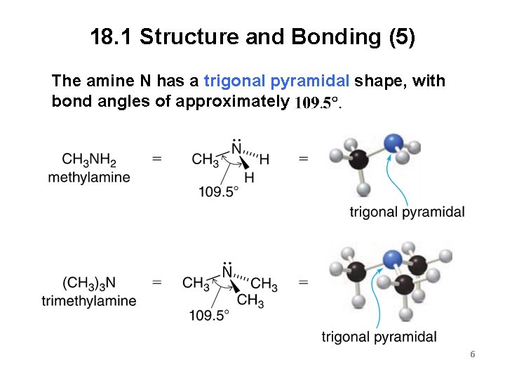 18. 1 Structure and Bonding (5) The amine N has a trigonal pyramidal shape,
