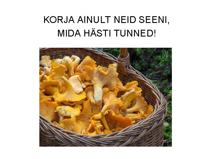 KORJA AINULT NEID SEENI, MIDA HÄSTI TUNNED! 