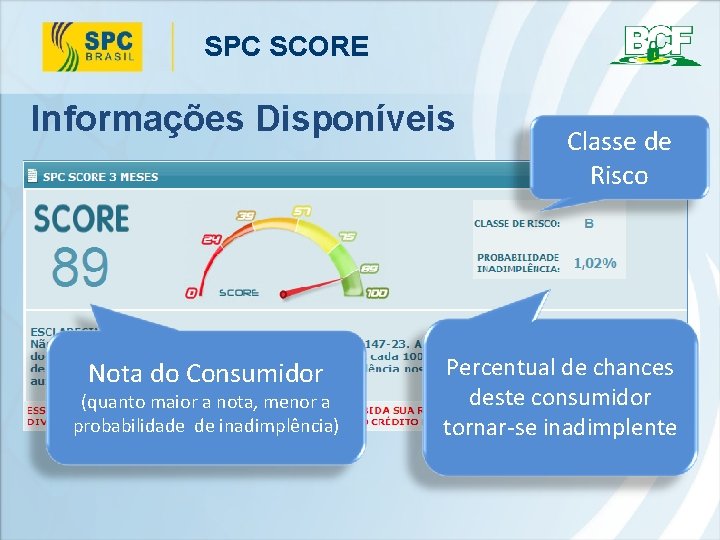 SPC SCORE Informações Disponíveis Nota do Consumidor (quanto maior a nota, menor a probabilidade