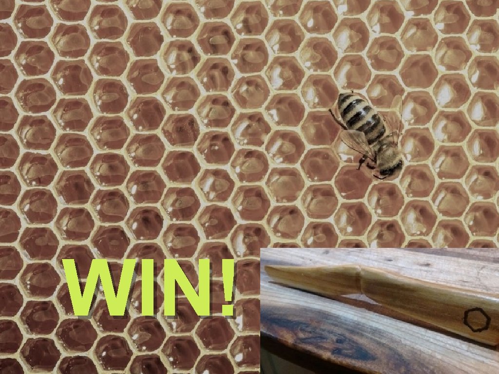 WIN! 