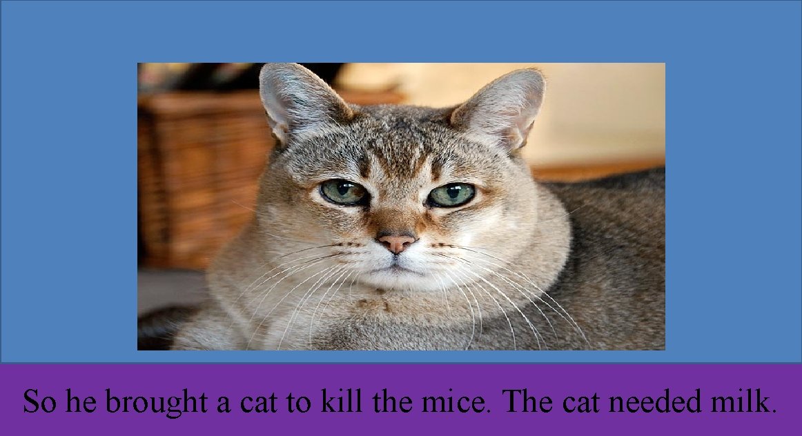 So he brought a cat to kill the mice. The cat needed milk. 