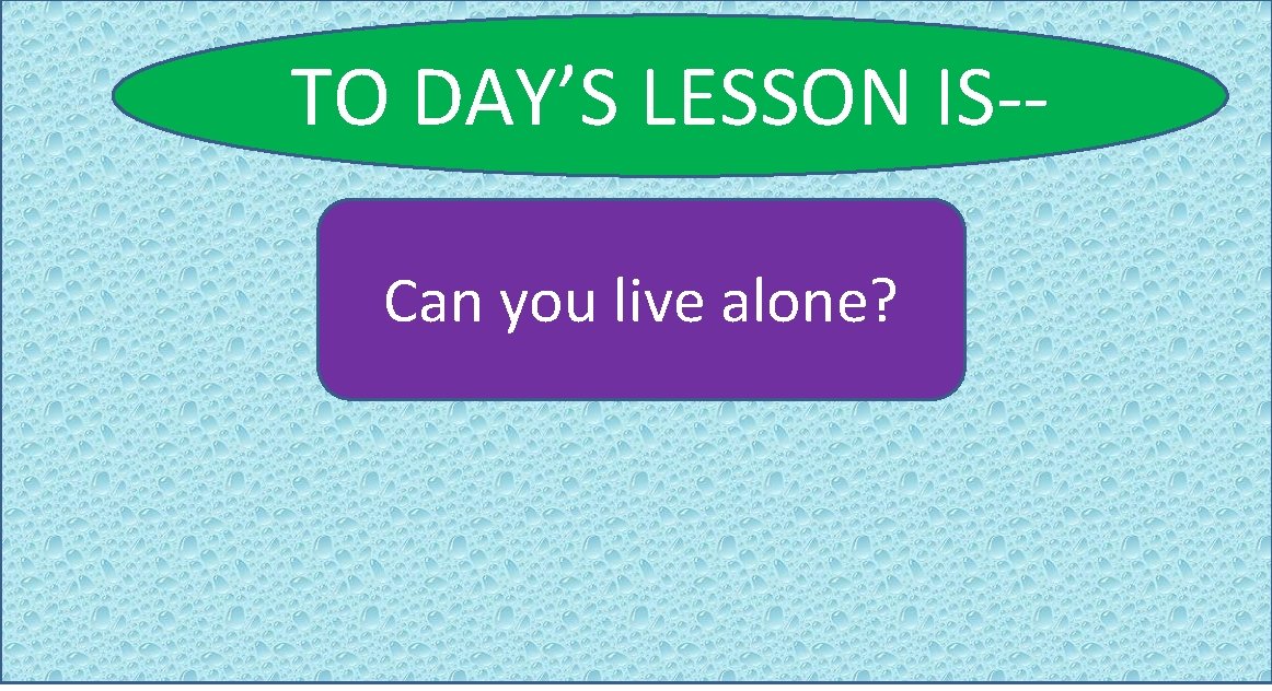 TO DAY’S LESSON IS-Can you live alone? 